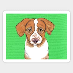 Sweet Brittany Puppy Sticker